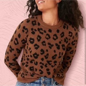 Cozy Leopard Print Sweater🐆